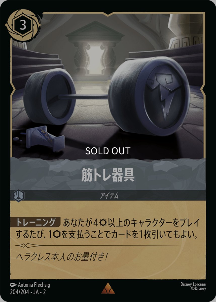 画像1: 筋トレ器具 (1)